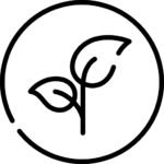 Doğa Dostu Ürünler